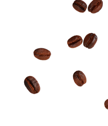 Beans
